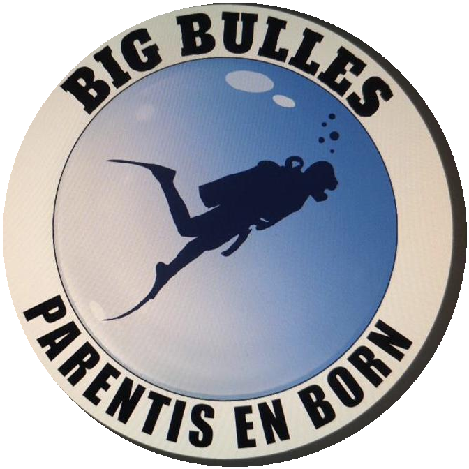 Logo Big Bulles Parentis